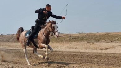 با اسب و نیزه تا دل تاریخ؛ ضرورت احیای هنرهای رزمی سواره در ایران امروز
