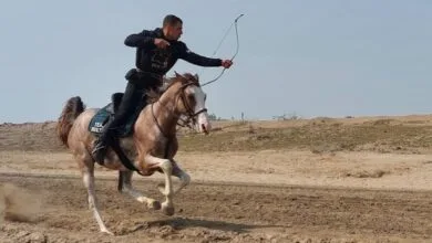 با اسب و نیزه تا دل تاریخ؛ ضرورت احیای هنرهای رزمی سواره در ایران امروز